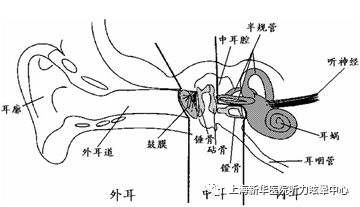 每个人都应该看！戴耳机听歌对耳朵的这些危害，你都了解吗？